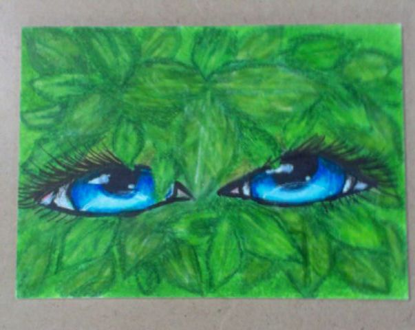Eyes In Ivy by Tara N Colna